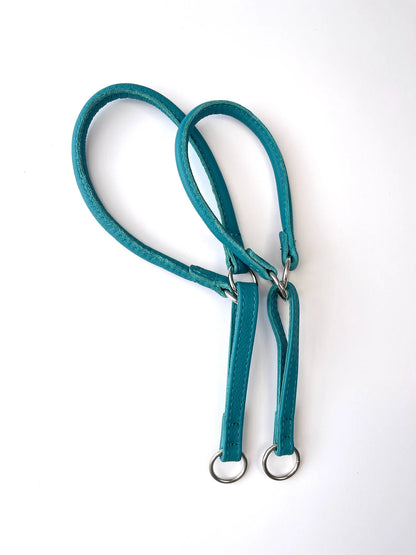 Teal Martingale Dog Collar