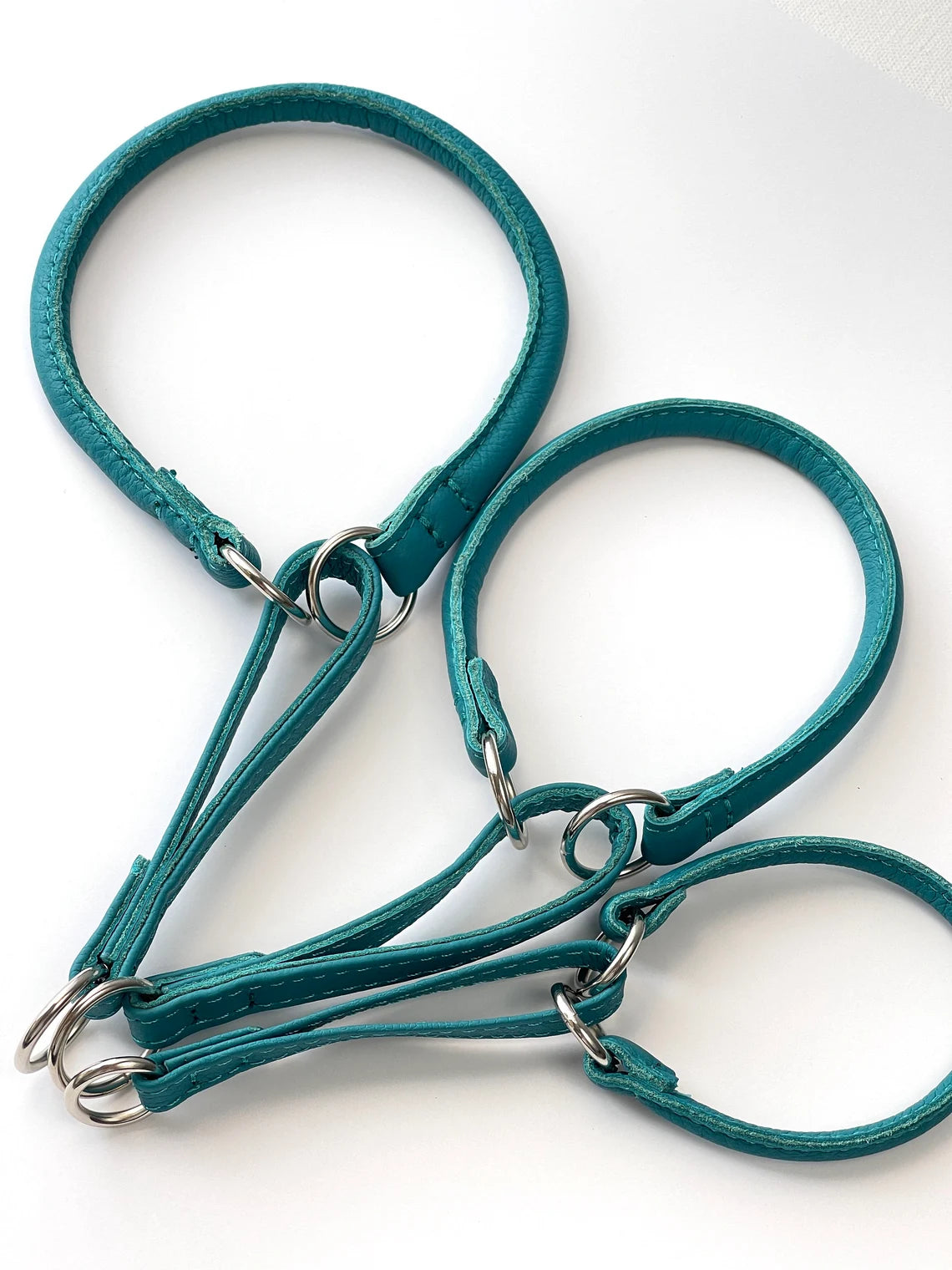 Teal Martingale Dog Collar