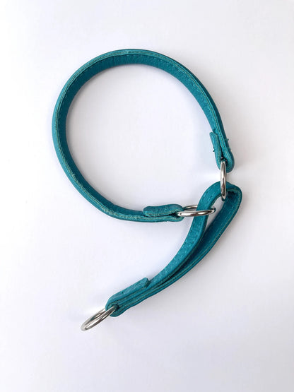 Teal Martingale Dog Collar