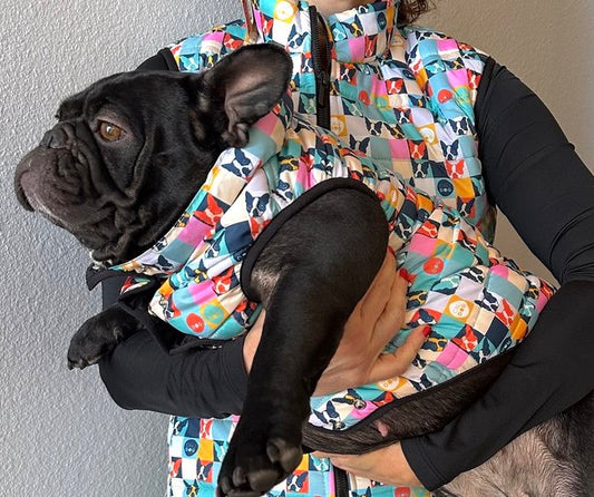 Frenchie Fashionista Jacket