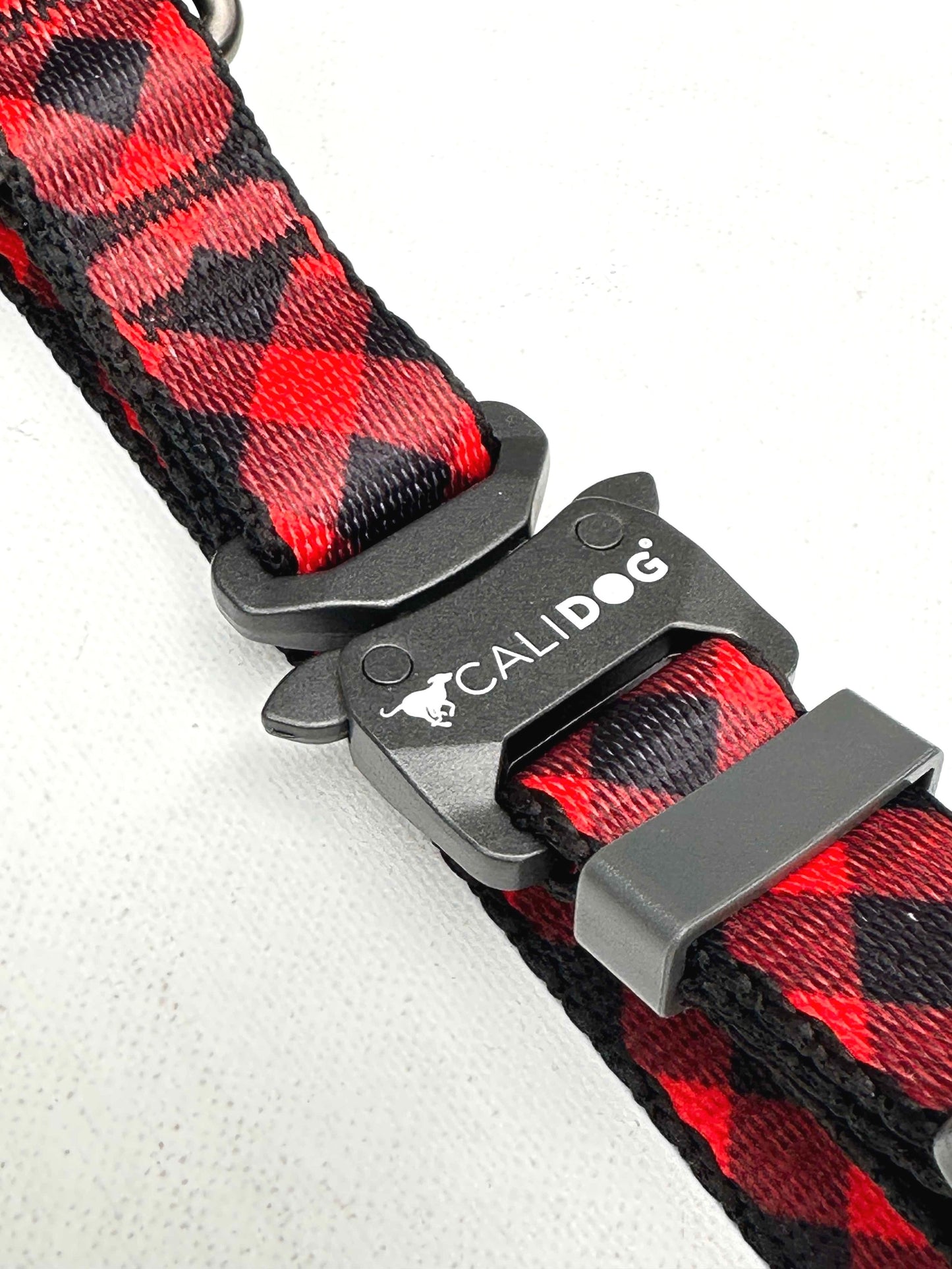 Dog Collar and Leash Set